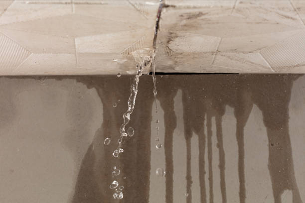 Professional Water Damage Repair technician working in Chester Heights, PA